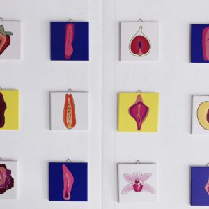 Variërende tegels van vagina, fruit en bloemen